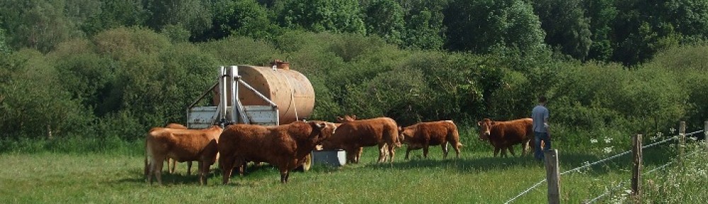 La Ferme des Limousines